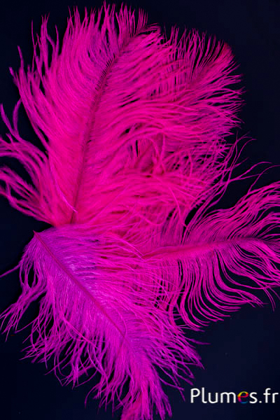 Autruche têtes - 10-15 cm - fuchsia